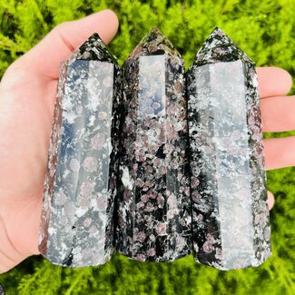 Garnet in Biotite Tower - 4"