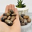Black Sunstone (Heliolite) - Tumbled
