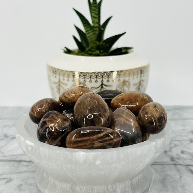 Black Sunstone (Heliolite) - Tumbled