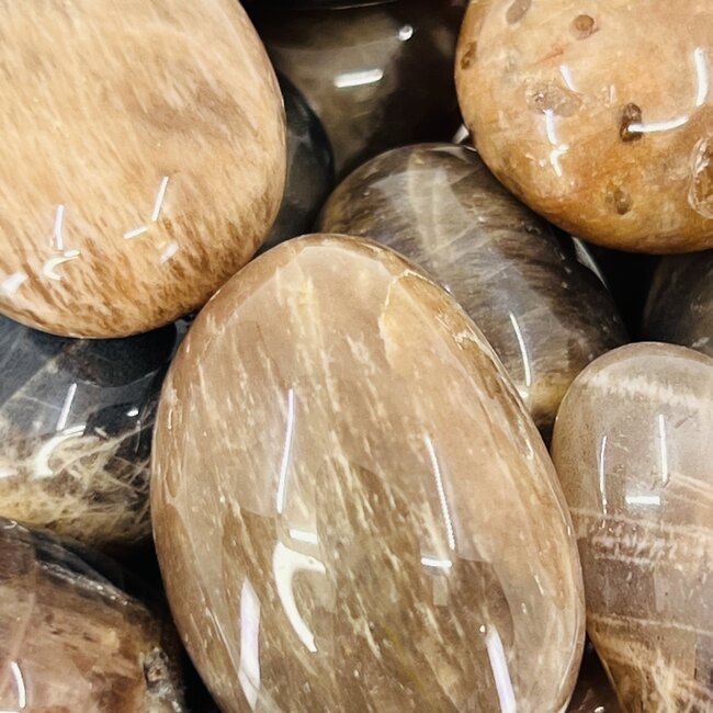 Black Sunstone (Heliolite) - Tumbled