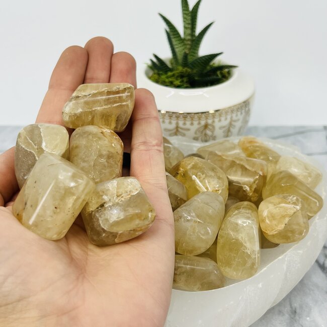 Congo Citrine (Kundalini Quartz) - Jumbo Large Tumbled Smooth