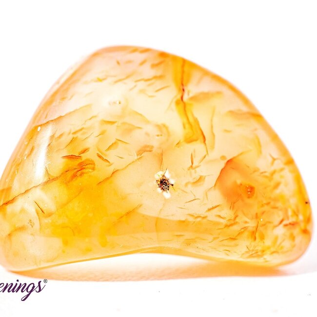 Carnelian - Tumbled (Banded)