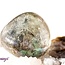 Rainbow (Light Blue Aqua) Titanium Aura Clear Quartz - Tumbled Mermaid Glass
