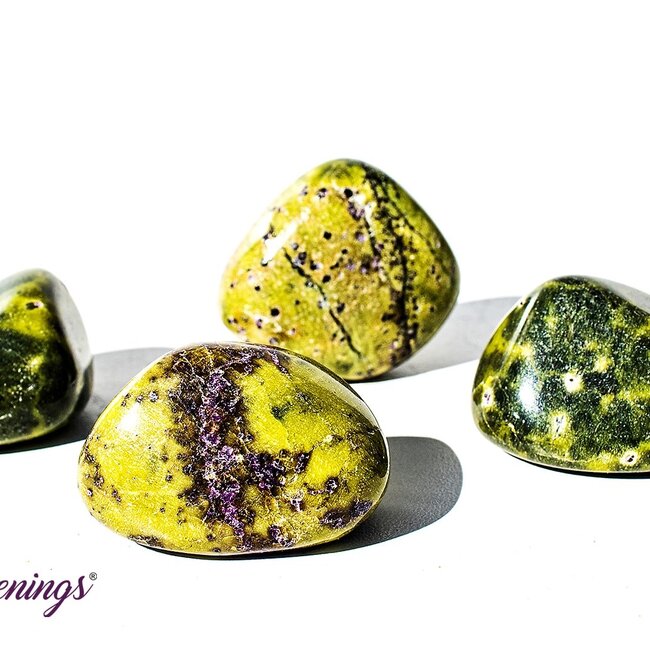 Stichtite in Serpentine (Atlantasite Atlantisite Tasmanite) - Tumbled