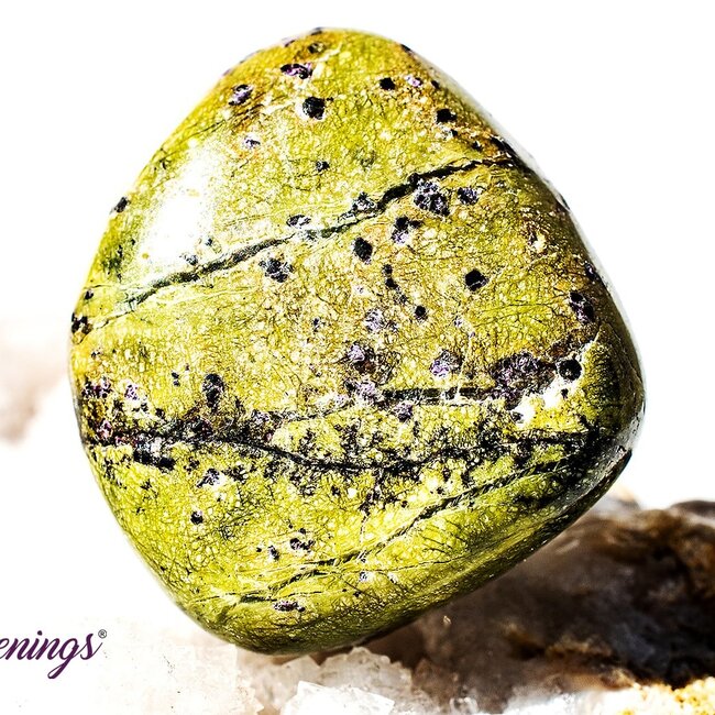 Stichtite in Serpentine (Atlantasite Atlantisite Tasmanite) - Tumbled