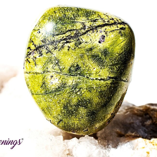 Stichtite in Serpentine (Atlantasite Atlantisite Tasmanite) - Tumbled