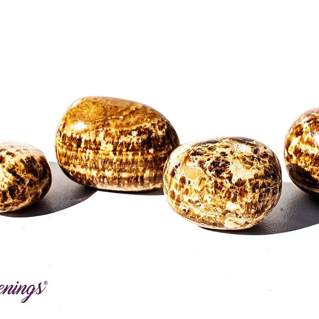 Brown & Cream Aragonite - Tumbled