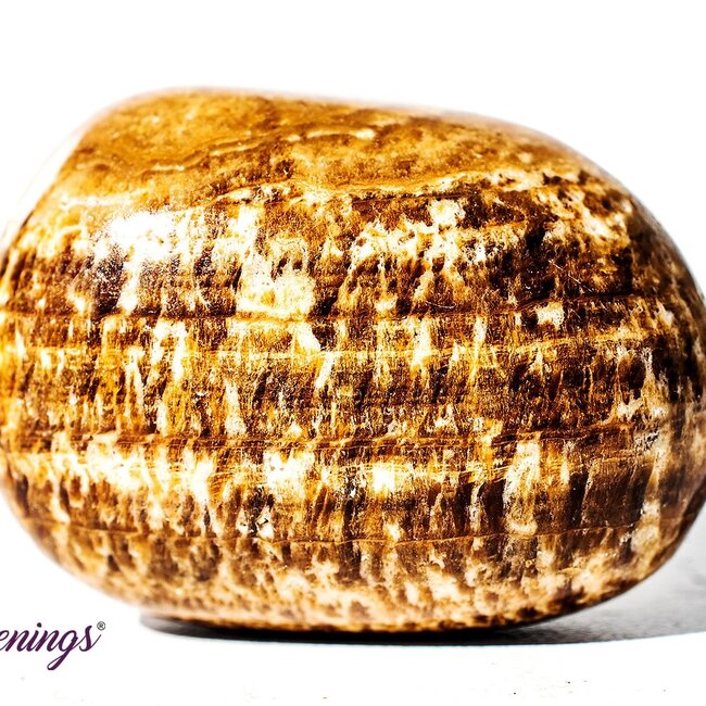 Brown & Cream Aragonite - Tumbled