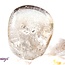 Rainbow (Titanium) Blue Aura Clear Quartz - Tumbled