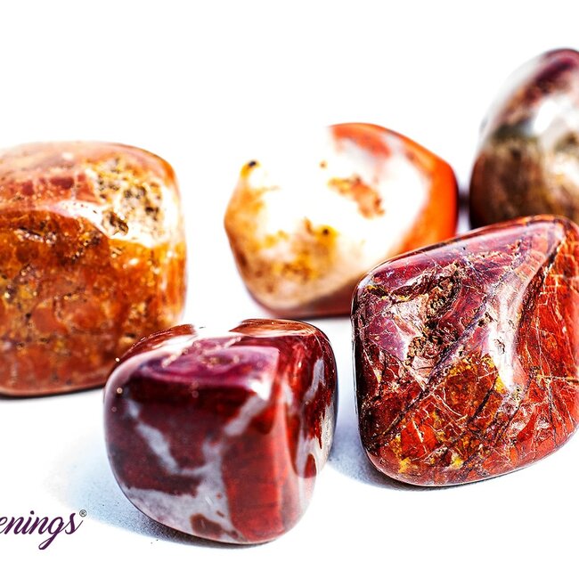 Brecciated Red Jasper - Tumbled
