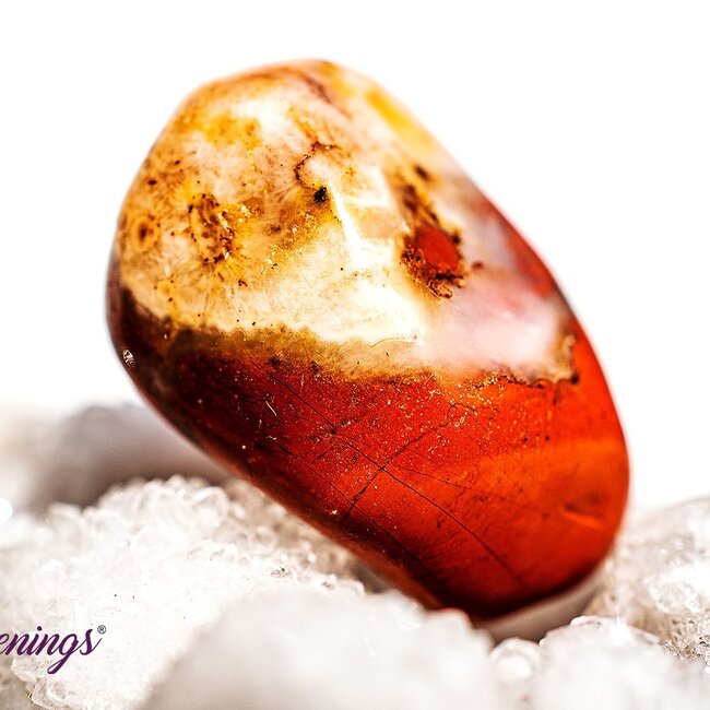 Brecciated Red Jasper - Tumbled