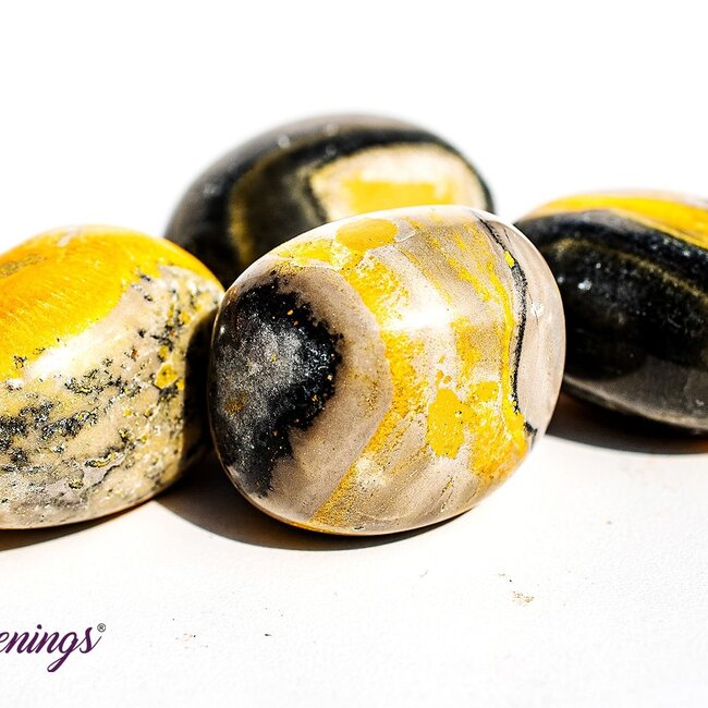 Bumblebee Jasper - Tumbled Large