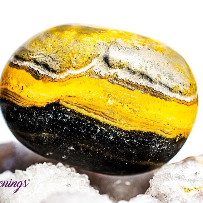 Bumblebee Jasper - Tumbled Large