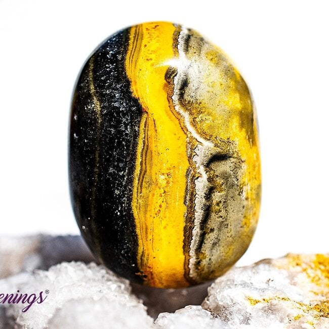 Bumblebee Jasper - Tumbled Large