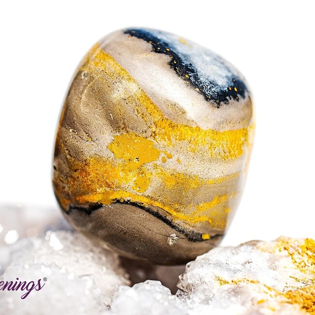 Bumblebee Jasper - Tumbled Large