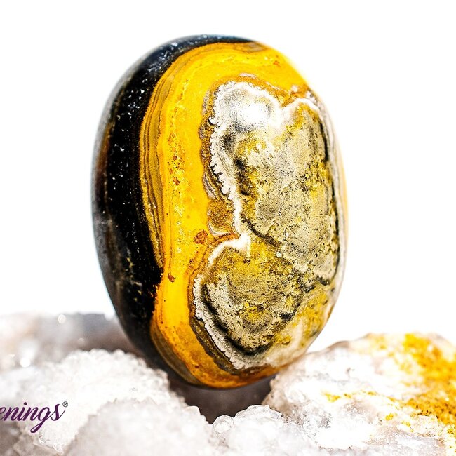 Bumblebee Jasper - Tumbled Large