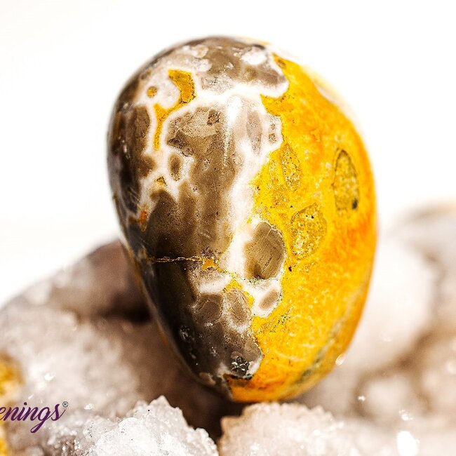 Bumblebee Jasper - Tumbled Large