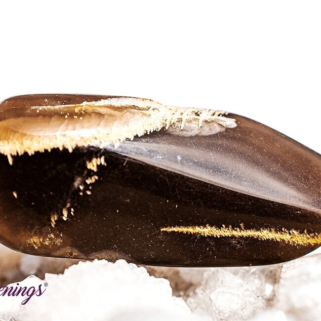 Black Moonstone - Tumbled