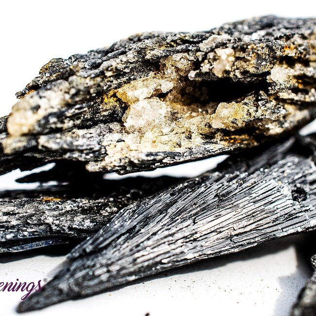 Black Kyanite Fan (1-2.5") - Rough Raw Natural