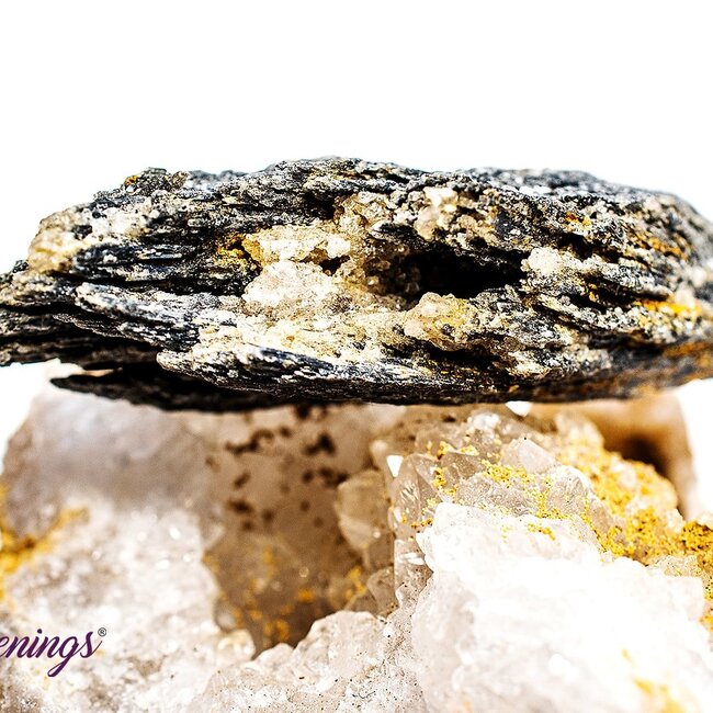 Black Kyanite Fan (1-2.5") - Rough Raw Natural