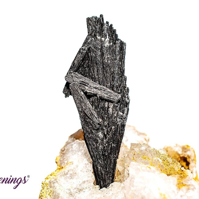 Black Kyanite Fan (1-2.5") - Rough Raw Natural