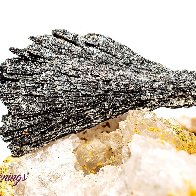 Black Kyanite Fan (1-2.5") - Rough Raw Natural