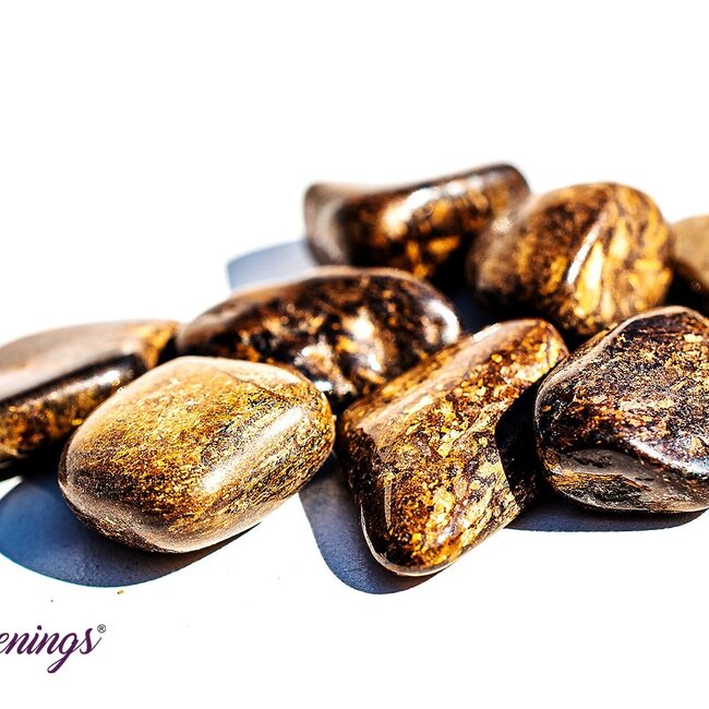 Bronzite (Enstatite Axinite) - Tumbled