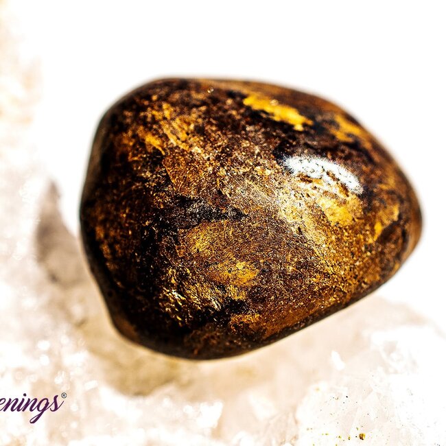 Bronzite (Enstatite Axinite) - Tumbled