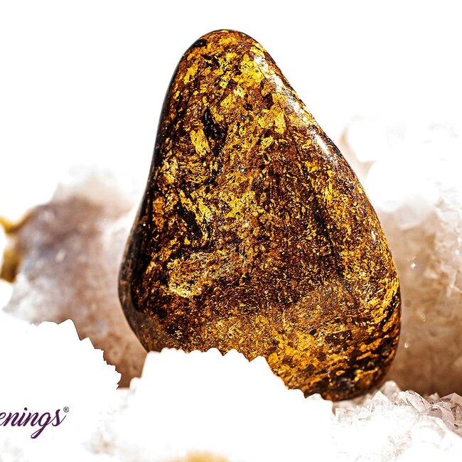 Bronzite (Enstatite Axinite) - Tumbled