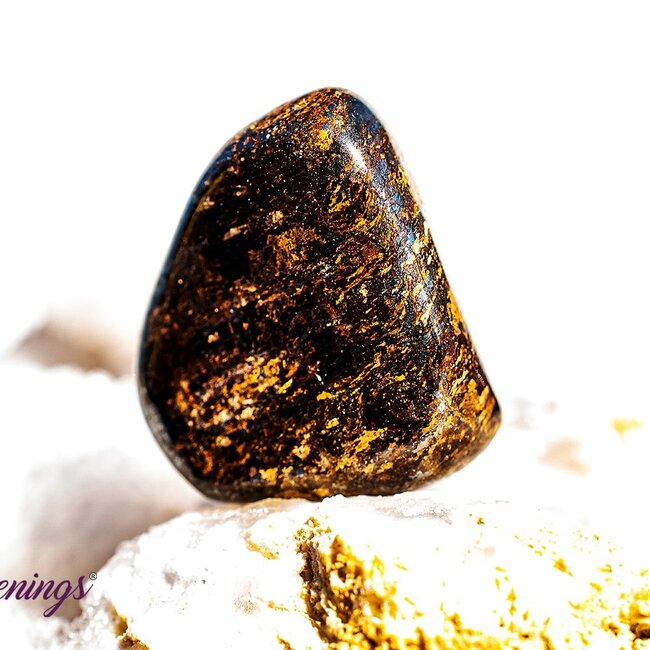 Bronzite (Enstatite Axinite) - Tumbled