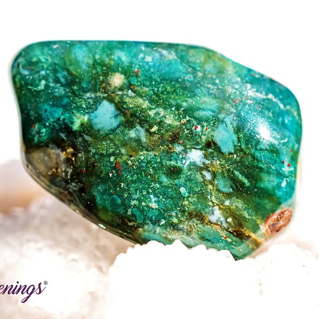 Bloodstone (Seftonite Septonite Setonite Heliotrope) - Tumbled
