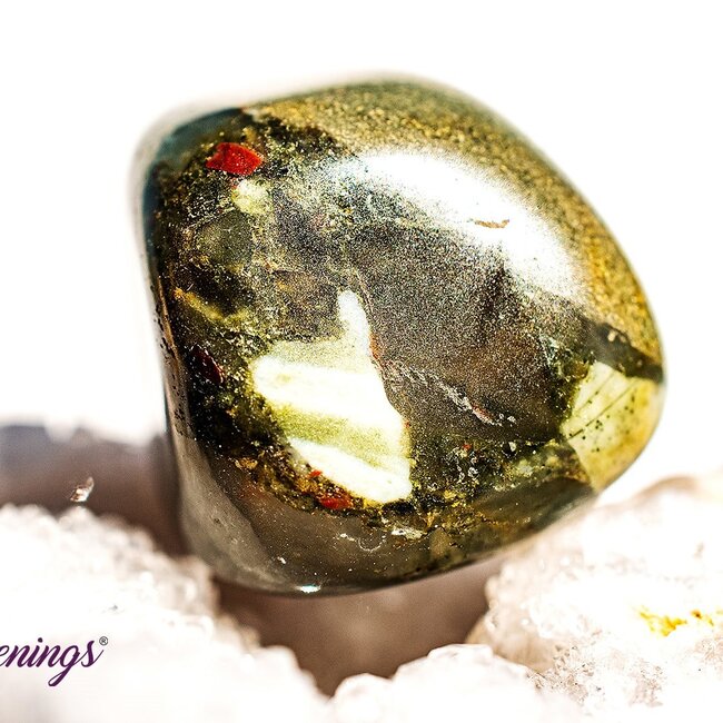 Bloodstone (Seftonite Septonite Setonite Heliotrope) - Tumbled