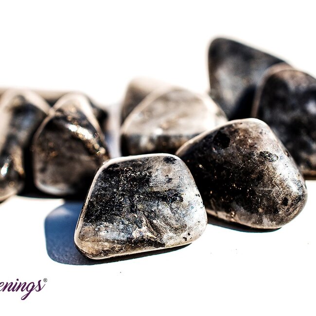 Black Labradorite (Larvakite) - Tumbled Chips