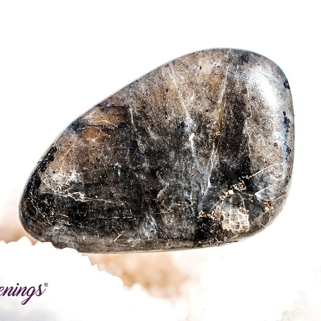 Black Labradorite (Larvakite) - Tumbled Chips