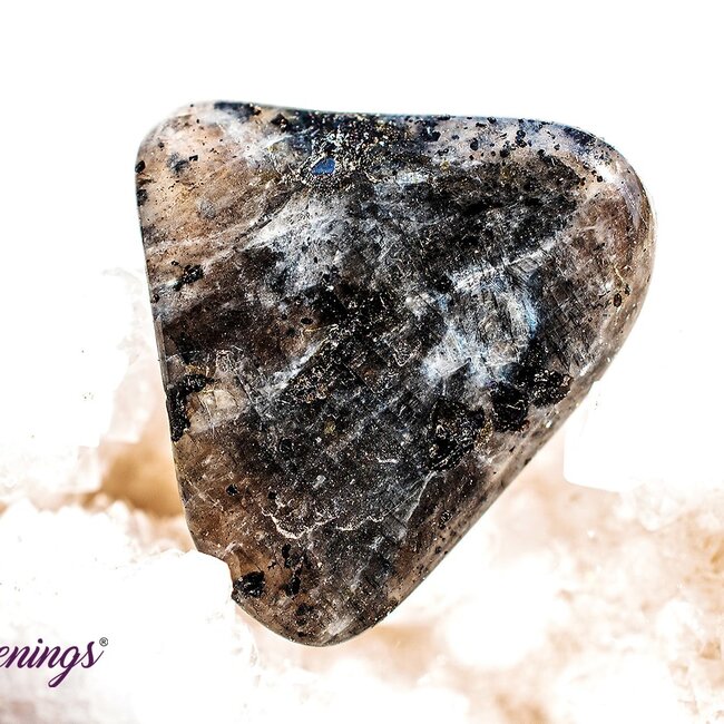 Black Labradorite (Larvakite) - Tumbled Chips