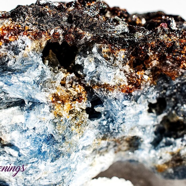 Blue Kyanite - Large (3-5") Rough Raw Natural