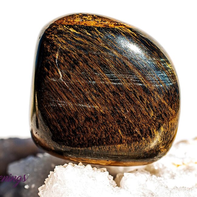 Blue Tigers Eye (Hawks Eye) - Tumbled