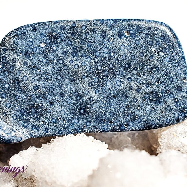 Blue Sponge Coral - Tumbled