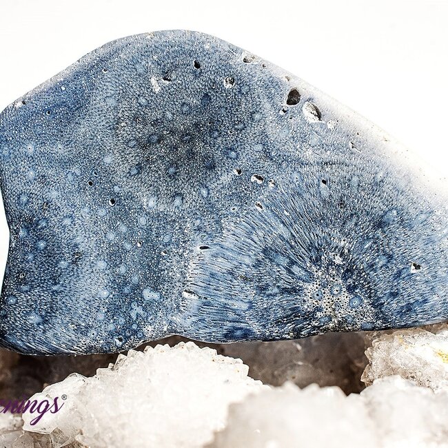 Blue Sponge Coral - Tumbled