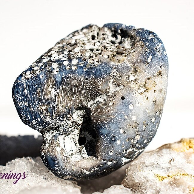 Blue Sponge Coral - Tumbled