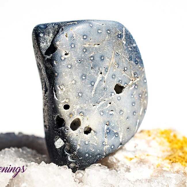 Blue Sponge Coral - Tumbled