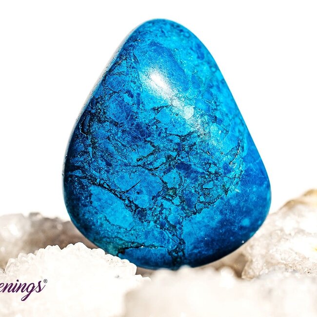 Blue Howlite (Magnesite) - Tumbled