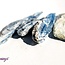 African Blue Kyanite - Rough Raw Natural