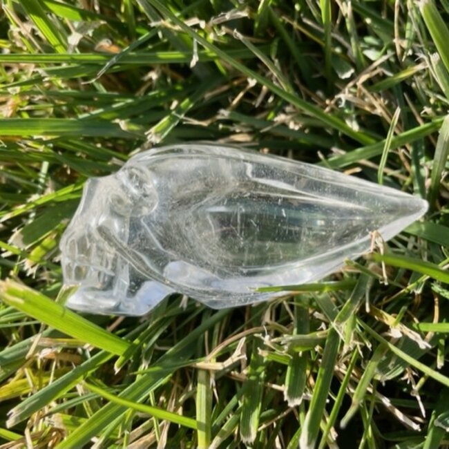 Clear Quartz Crystal Long Skull