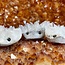 Clear (Clear) Quartz Hedgehogs Hedge Hogs Heggies - Medium Rough Raw Natural
