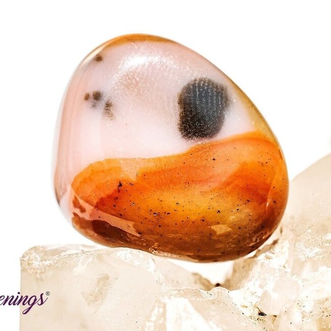 Bamboo Leaf Agate - Tumbled