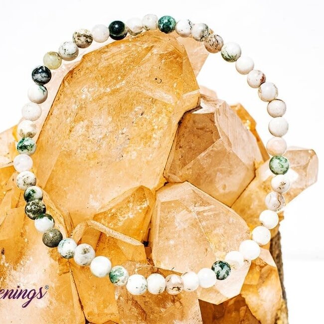 Tree Agate Bracelets - 4mm Mini