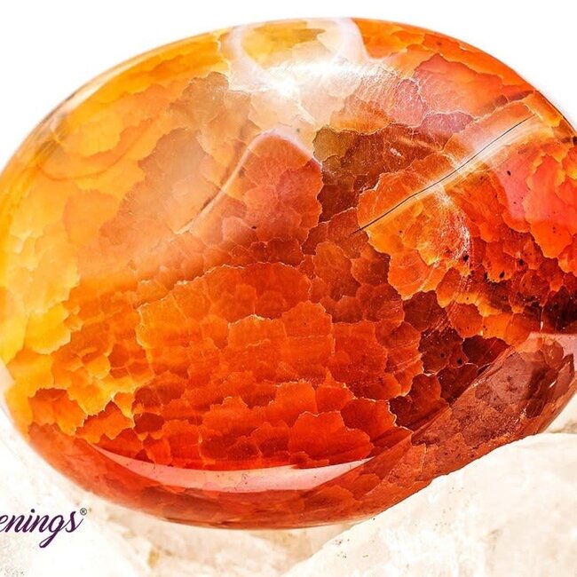 Fire Agate Palm Pillow Pocket Stone