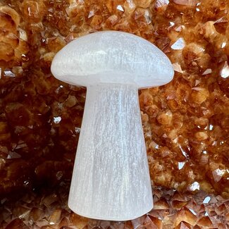 Selenite/Satin Spar Mushroom - Large
