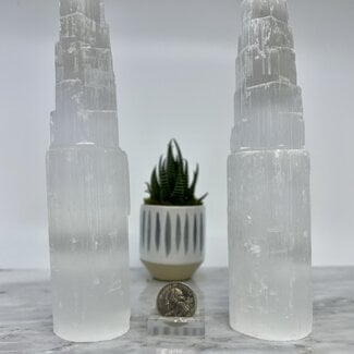 Selenite (Satin Spar Gypsum) Single Iceberg Tower-8"
